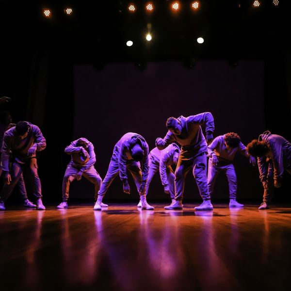 Velvet Reflection under Stars