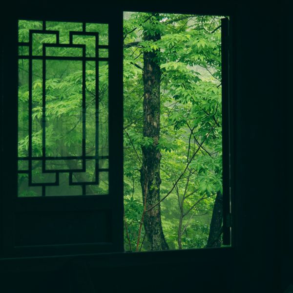 Alex   Pacific Voltage   Leaving Harbour Mix 10   Ecfd77Ef